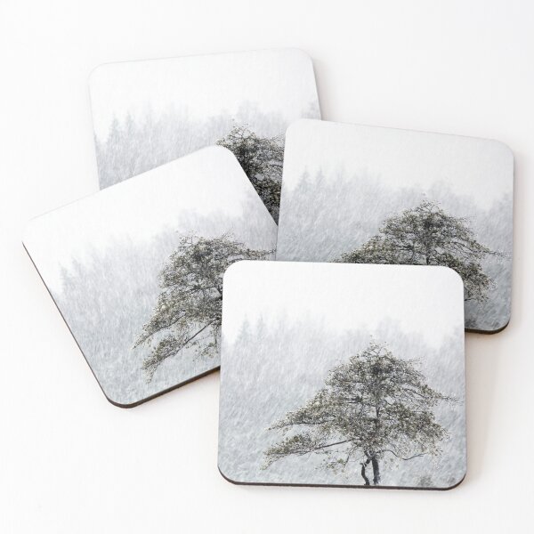 Item preview, 4.1.2022: Pine Tree in Snowfall designed and sold by Petri Volanen.