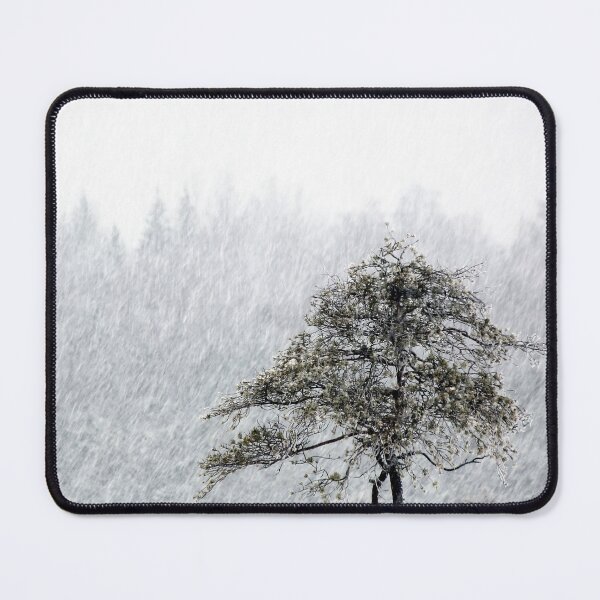 Item preview, 4.1.2022: Pine Tree in Snowfall designed and sold by Petri Volanen.