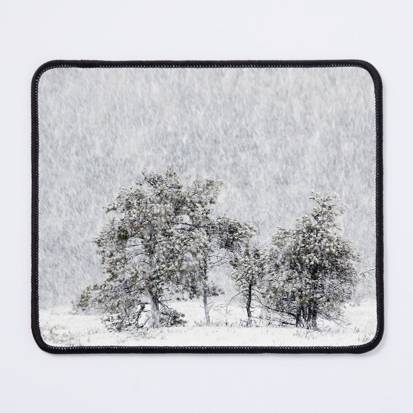 Item preview, 4.1.2022: Pine Trees in Snowfall designed and sold by Petri Volanen.