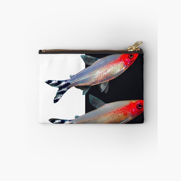 Item preview, Rummynose Tetra designed and sold by GFishy.