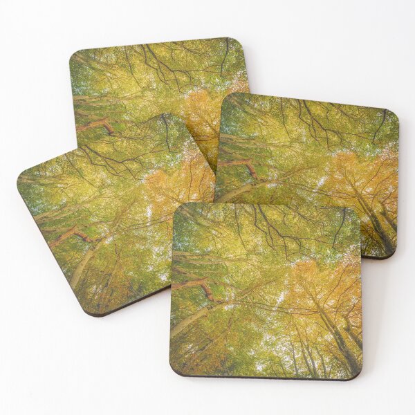 Item preview, Upwards Tree Canopy designed and sold by Waterside Wallart.