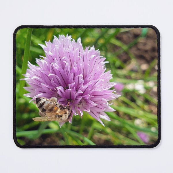Item preview, Bee on chives flower designed and sold by mary02.