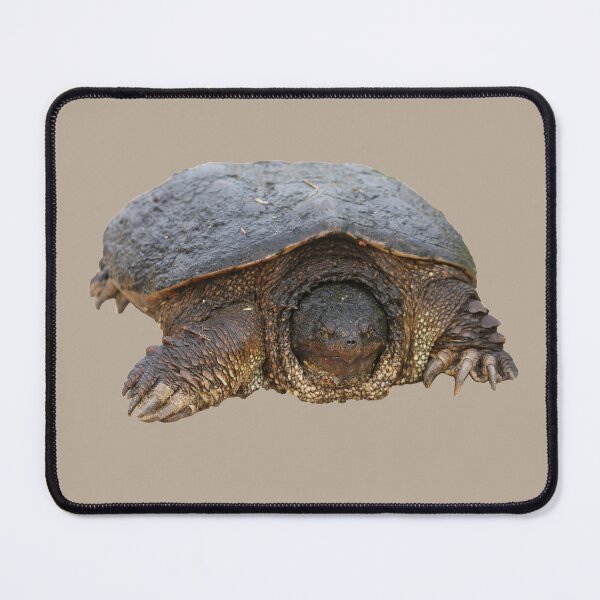 Item preview, Huge Snapping Turtle designed and sold by PaulKPhoto.