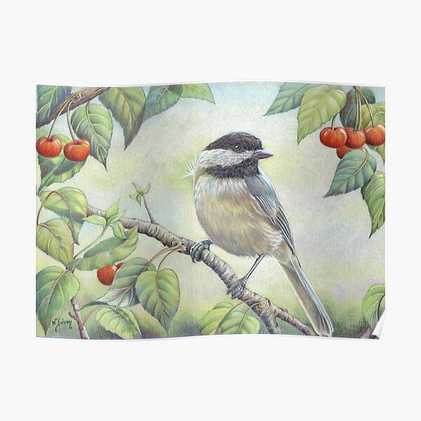 La mésange et les cerises rouges Poster
