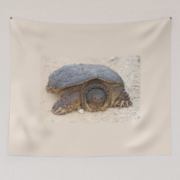 Item preview, Huge Snapping Turtle designed and sold by PaulKPhoto.