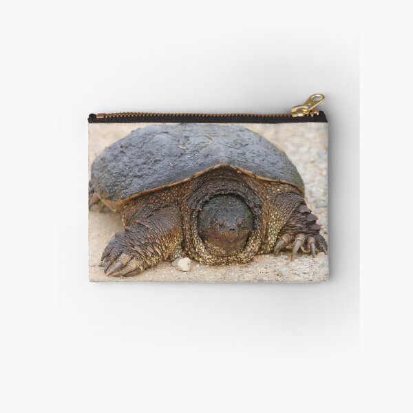 Item preview, Huge Snapping Turtle designed and sold by PaulKPhoto.