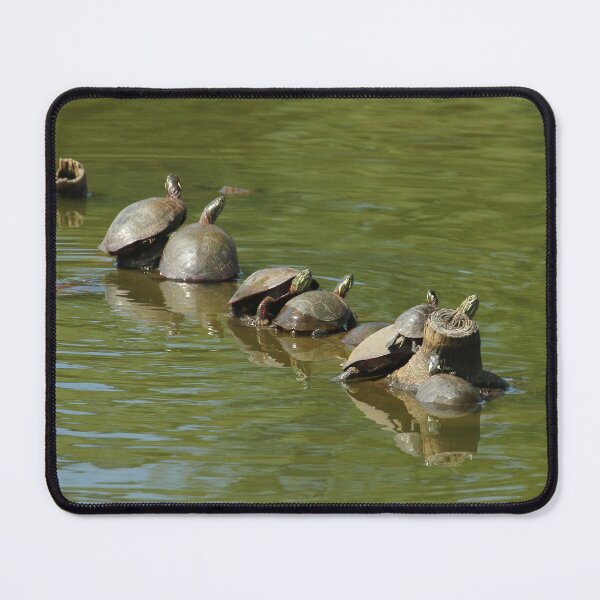 Item preview, Seven Turtles on a Log designed and sold by PaulKPhoto.