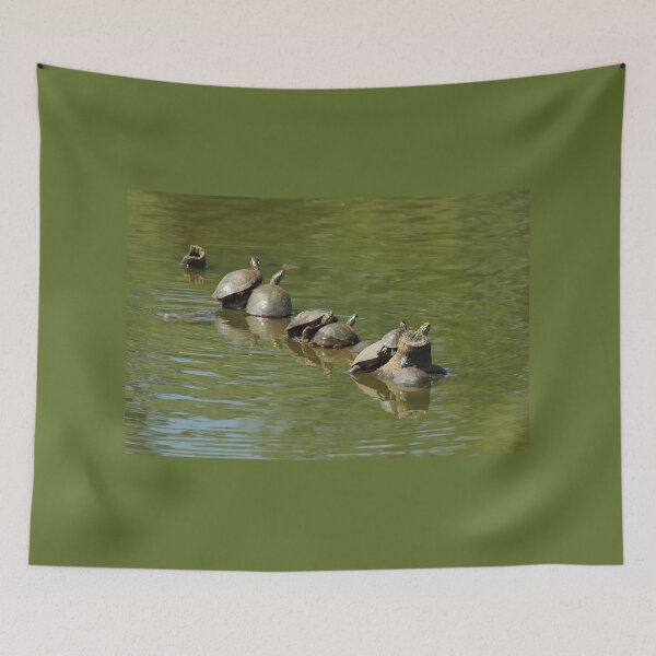 Item preview, Seven Turtles on a Log designed and sold by PaulKPhoto.