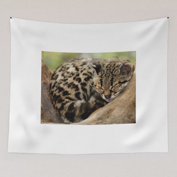 Item preview, sleepy designed and sold by pcfyi.