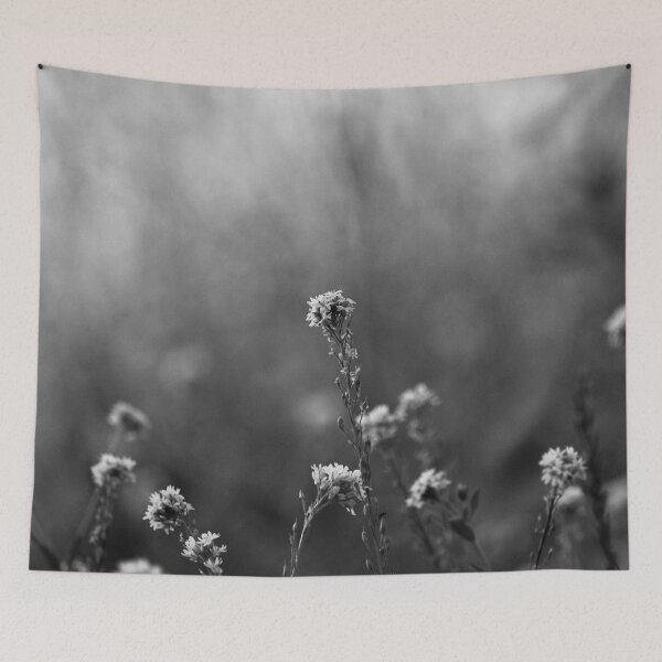 Aperçu de l'œuvre Photographie de fleurs sauvages en noir et blanc créée et vendue par William63.
