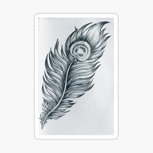 Peacock feather isolated Black and White Stock Photos & Images - Alamy