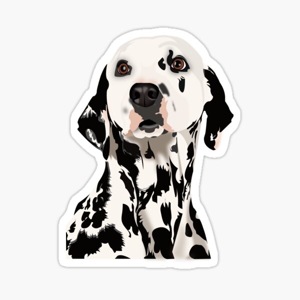 Dalmatian Sticker