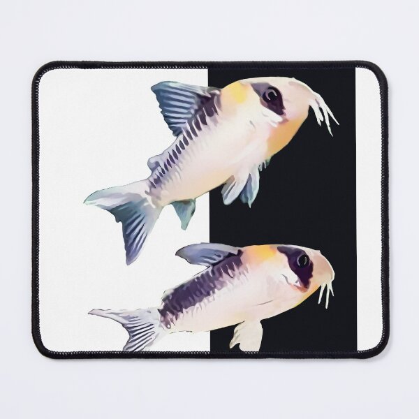 Item preview, Panda Corydoras designed and sold by GFishy.