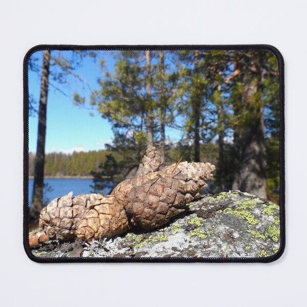 Item preview, Pine Cones designed and sold by BigFatFinnish17.