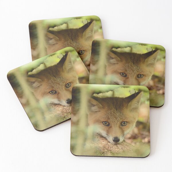 Item preview, Little fox will grow up designed and sold by legoupil70.