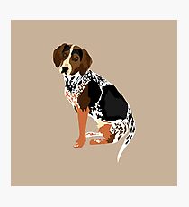 Gracie Photographic Print