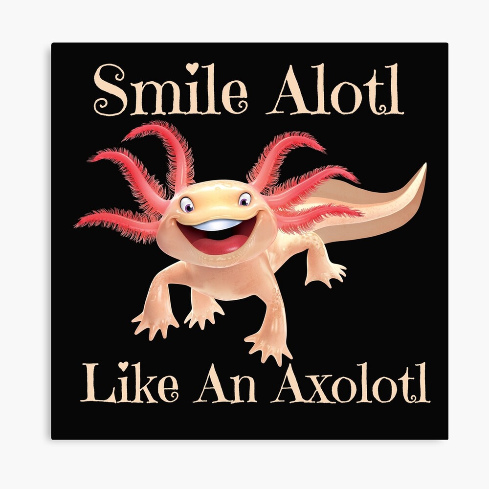 Smile Alotl Like An Axolotl Smile Alotl Like An Axolotl