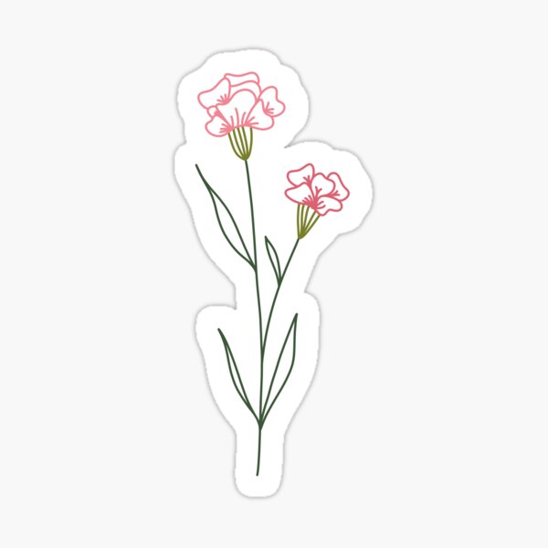 "January Flower Carnation " Sticker for Sale by Blainelove Redbubble