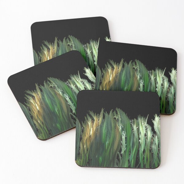 Item preview, Seaweed designed and sold by TUMBAJULCA.