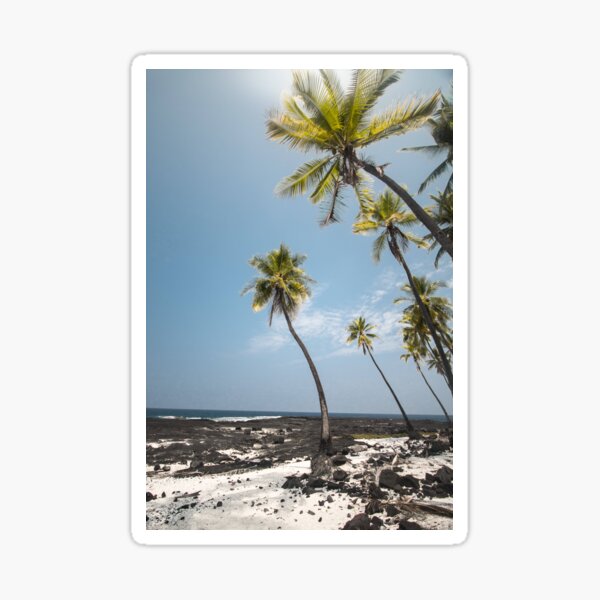 "Palm Tree By The Beach Palm Tree Beach Haven" Sticker by Delandor