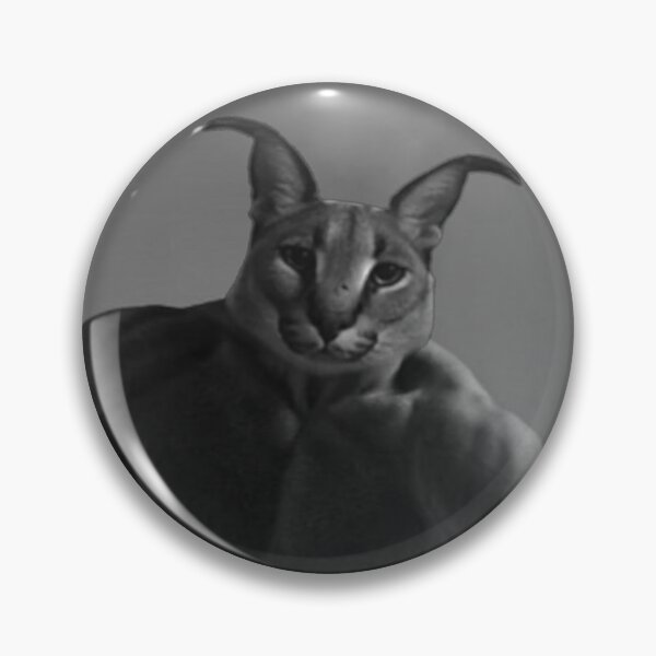 CHAD FLOPPA CAT \ CARACALS \  Sticker for Sale by Mad-Boy