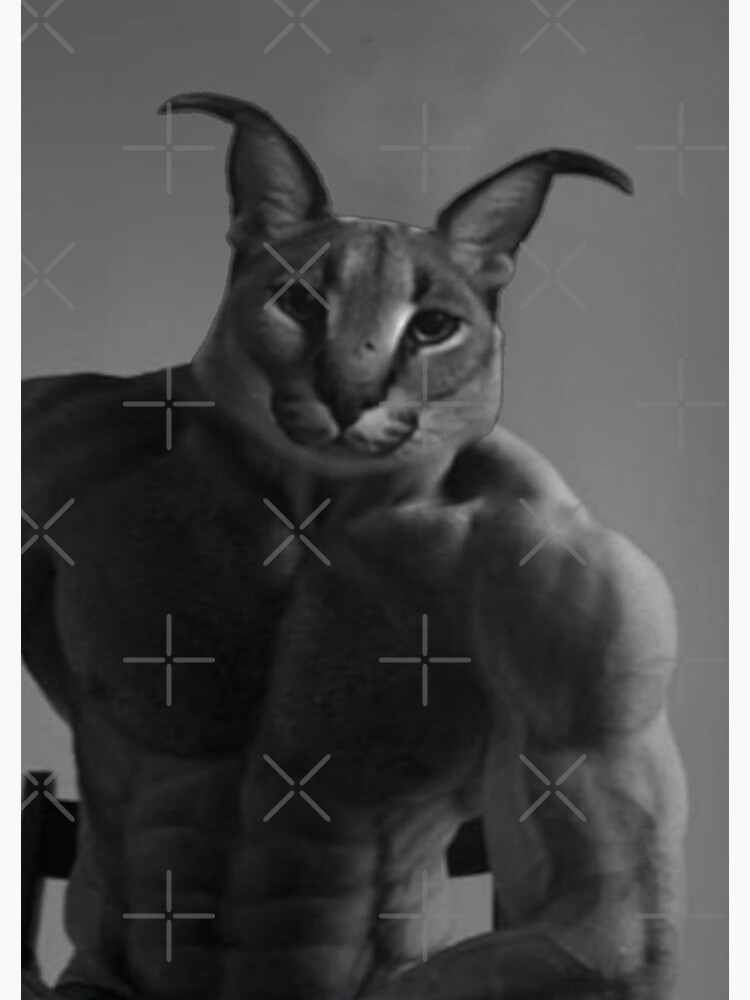 FLOPPA CAT \ CARACALS / GOOD AT MATH Art Board Print for Sale by Mad-Boy