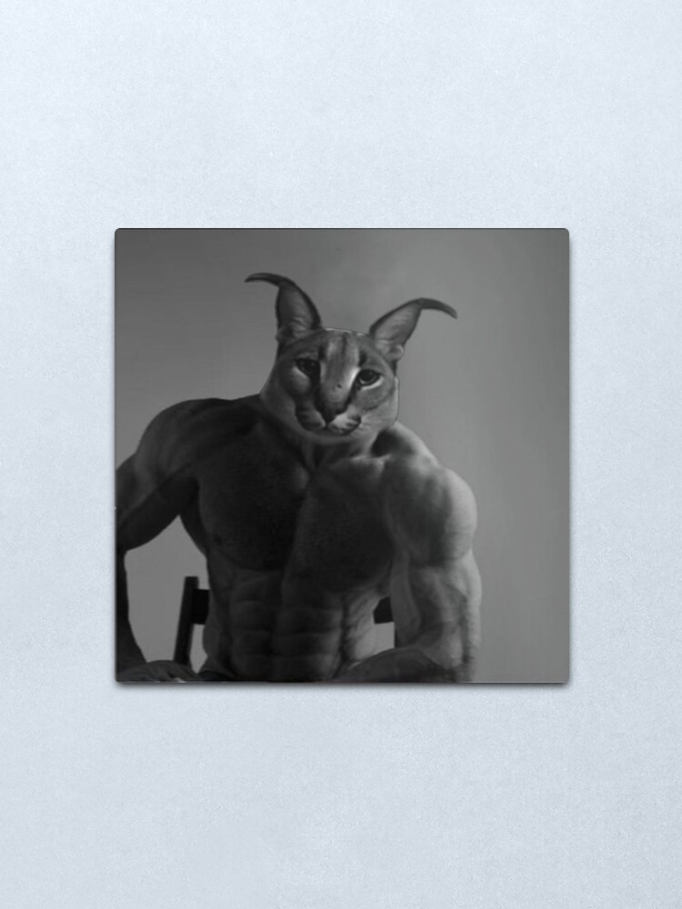 Chad Floppa Cat Caracals Giga Chad Cat Giga Cat Muscle Floppa