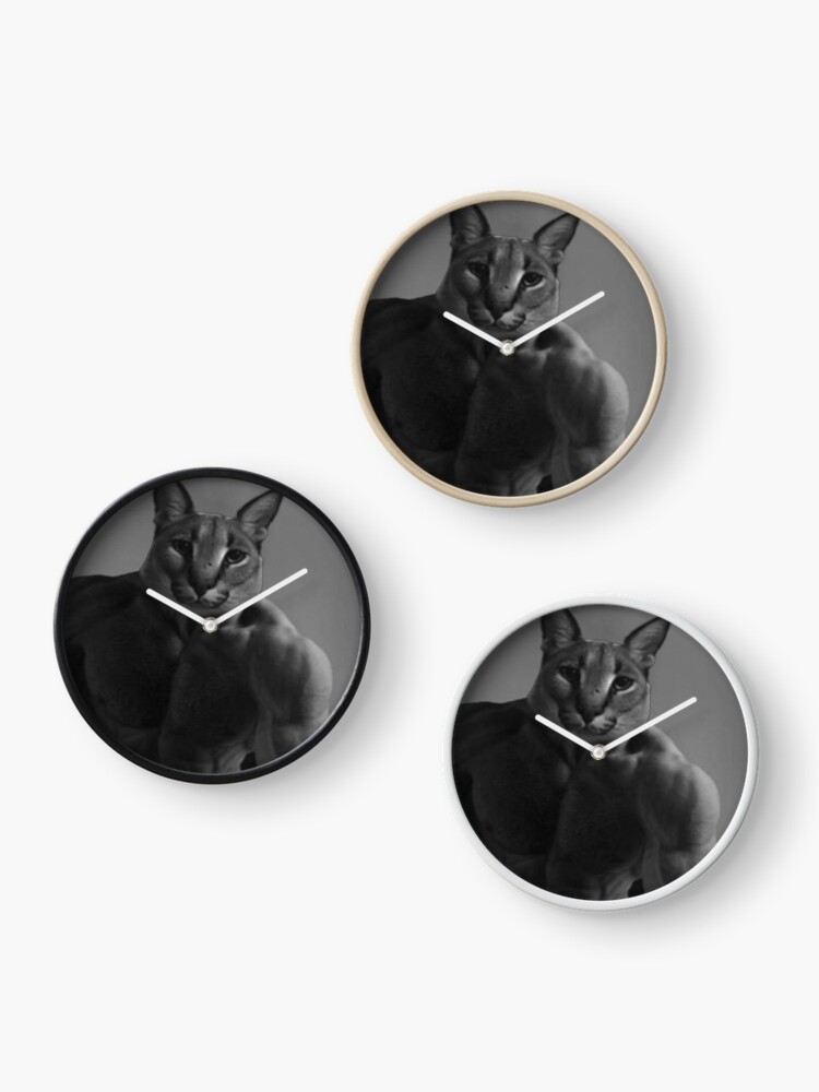 CHAD FLOPPA CAT \ CARACALS \ GIGA CHAD CAT \ GIGA CAT / MUSCLE FLOPPA CAT |  Sticker