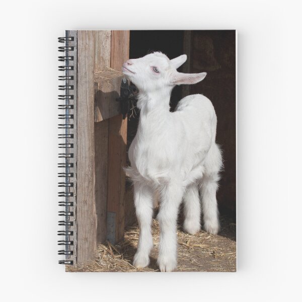 Item preview, Baby white goat designed and sold by Tori Andrews.