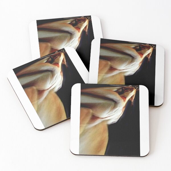 Item preview, Libertine and the Vestil   designed and sold by BeverlyHells.