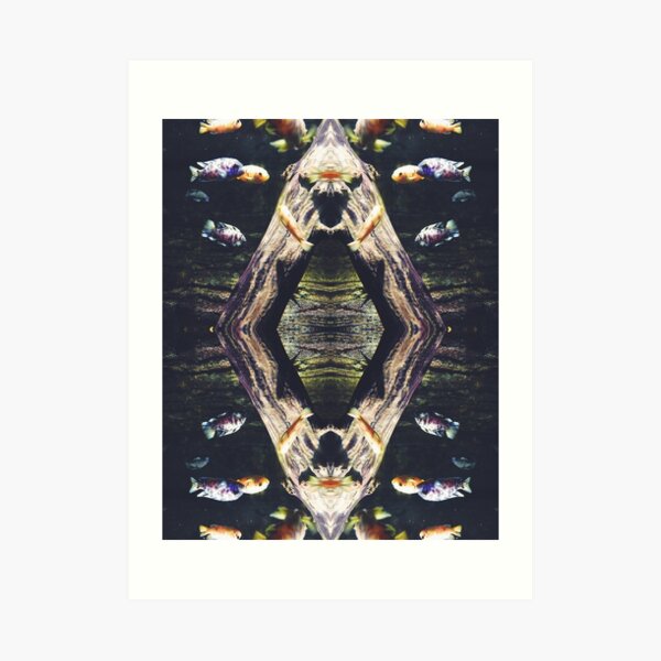 Fish reflection Art Print