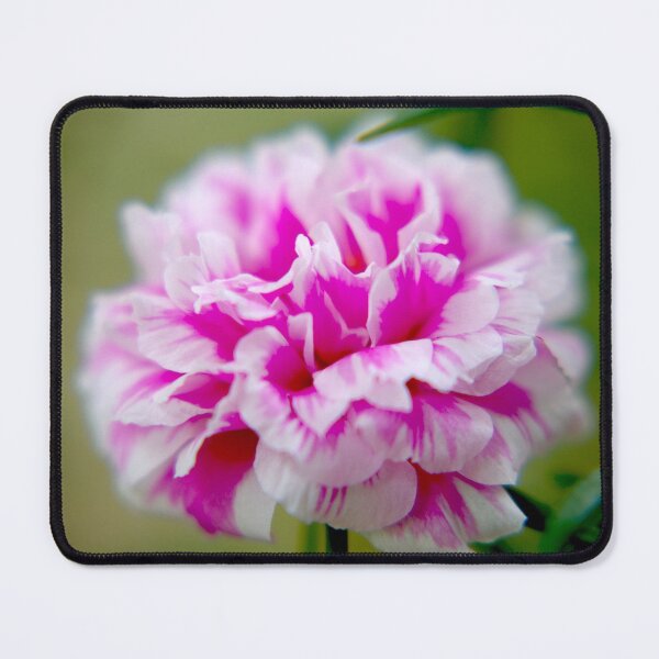 Item preview, Pink Rose Moss designed and sold by Rainy.