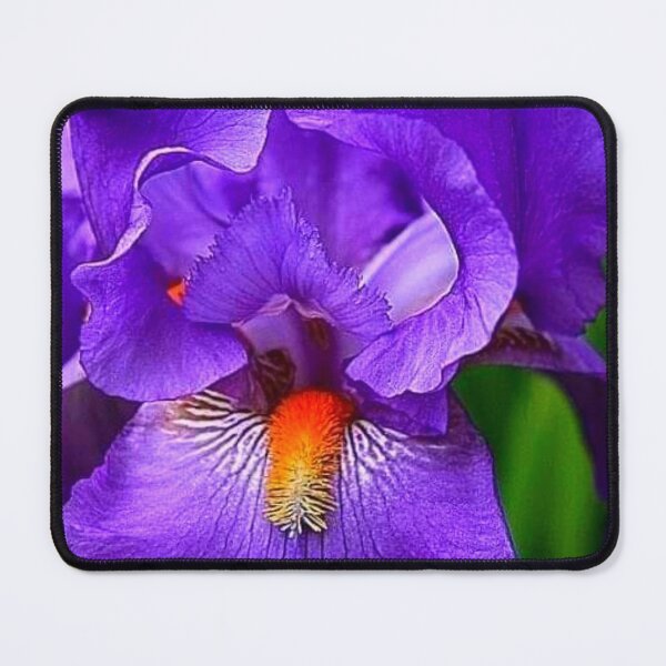 Item preview, Purple Throw Blanket /Phone case designed and sold by Birshka.