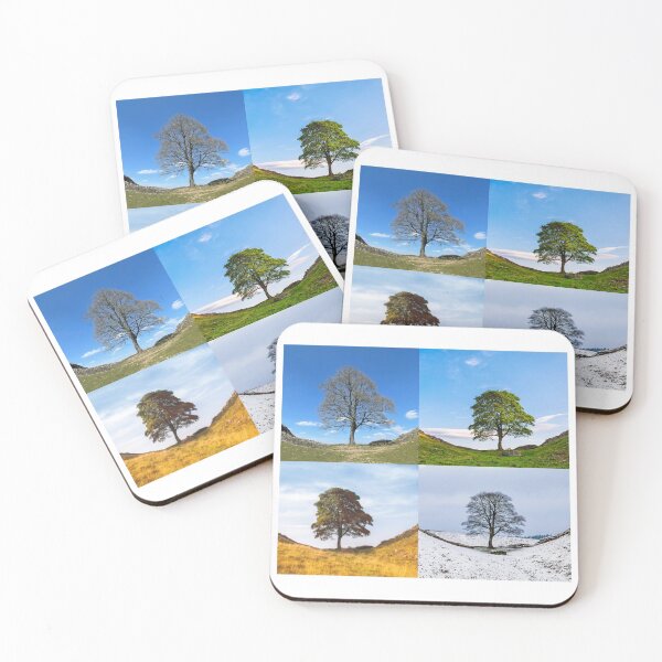 Item preview, Sycamore Gap through the four seasons - Hadrians Wall, Northumberland designed and sold by PunkyCat.