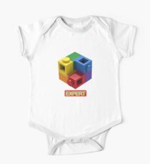 ‘Expert’ Builder T-Shirt Featuring a Brick Built Rainbow Puzzle One Piece - Short Sleeve