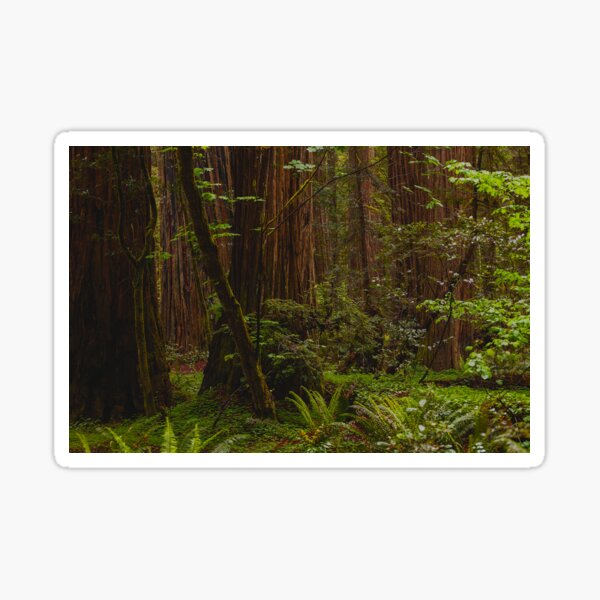 Cathedral of Giants Sticker