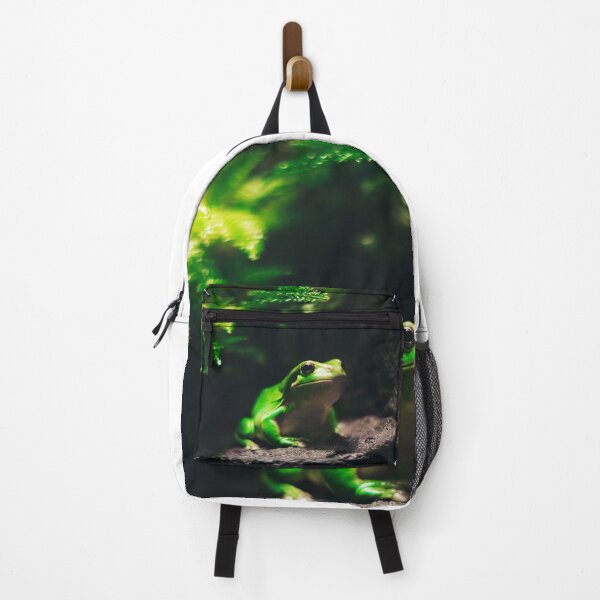Item preview, Green Frog Sitting on Rock designed and sold by ONORMAL.
