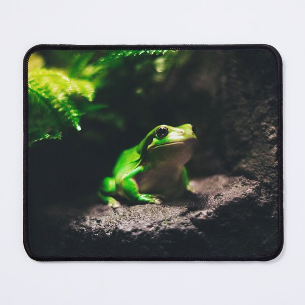 Item preview, Green Frog Sitting on Rock designed and sold by ONORMAL.
