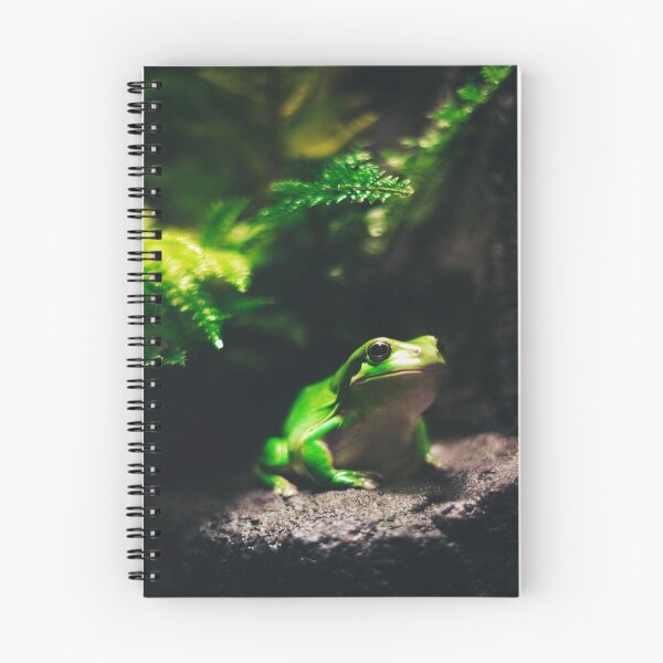 Item preview, Green Frog Sitting on Rock designed and sold by ONORMAL.
