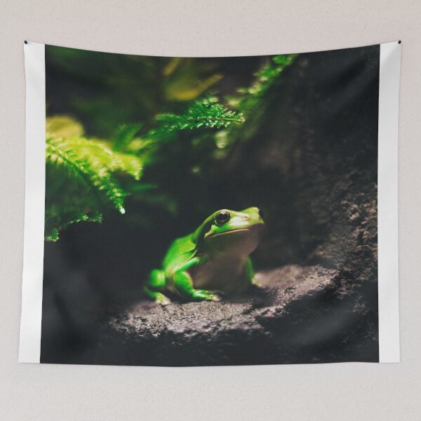 Item preview, Green Frog Sitting on Rock designed and sold by ONORMAL.