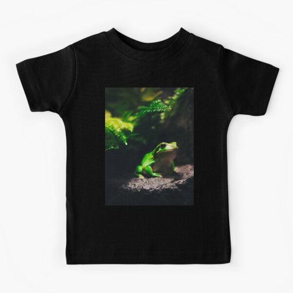 Item preview, Green Frog Sitting on Rock designed and sold by ONORMAL.