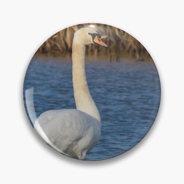 Item preview, Mute Swan designed and sold by LaurenTucker.
