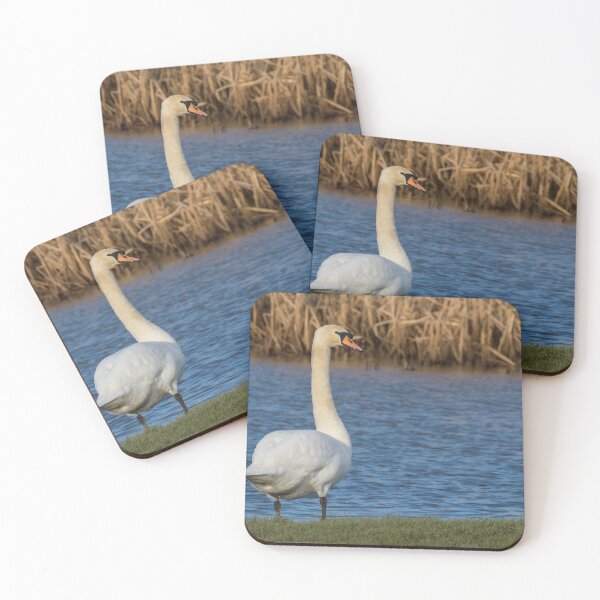 Item preview, Mute Swan designed and sold by LaurenTucker.