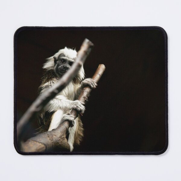 Item preview, Sweet monkey on a branch designed and sold by BBPGallery.