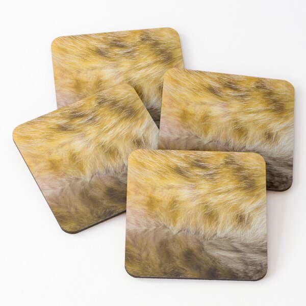 Item preview, Cat Fur Texture  designed and sold by Past-Midnight.