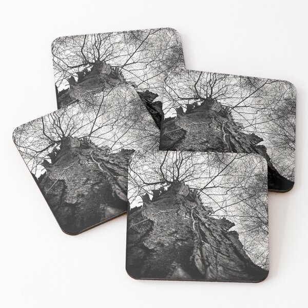Item preview, Nottingham Gothic designed and sold by Susan Maxwell Schmidt.