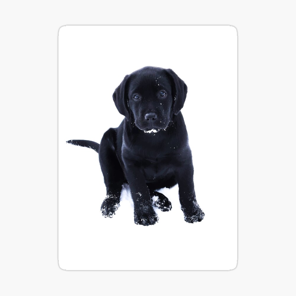 The Mountain Black Lab Labrador Retriever Dog Puppy Hoodie Sweatshirt Jacket