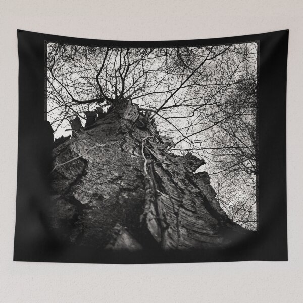 Item preview, Nottingham Gothic designed and sold by Susan Maxwell Schmidt.