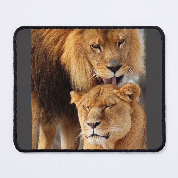 Item preview, The lion king who takes care of his lioness. designed and sold by Karine Dupras.