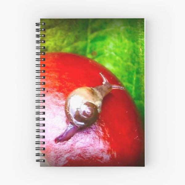 Item preview, Baby Snail - Baby snail on chestnut designed and sold by IdAdArt-gzapf.